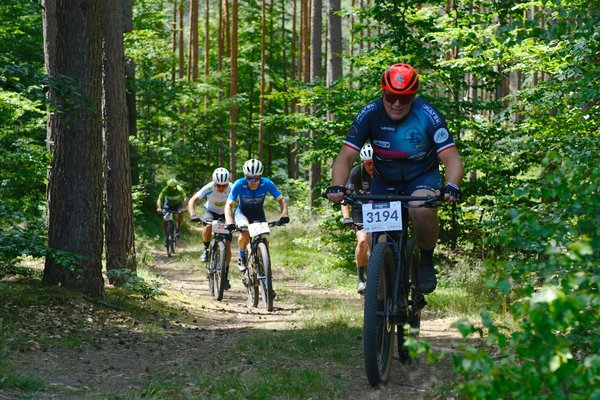 La direction de la Fédération de Basket : qui fait quoi ?