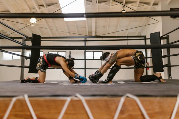L'importance du stade de l'Olympique Lyonnais