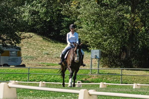 La place de l'équitation dans les Jeux Olympiques